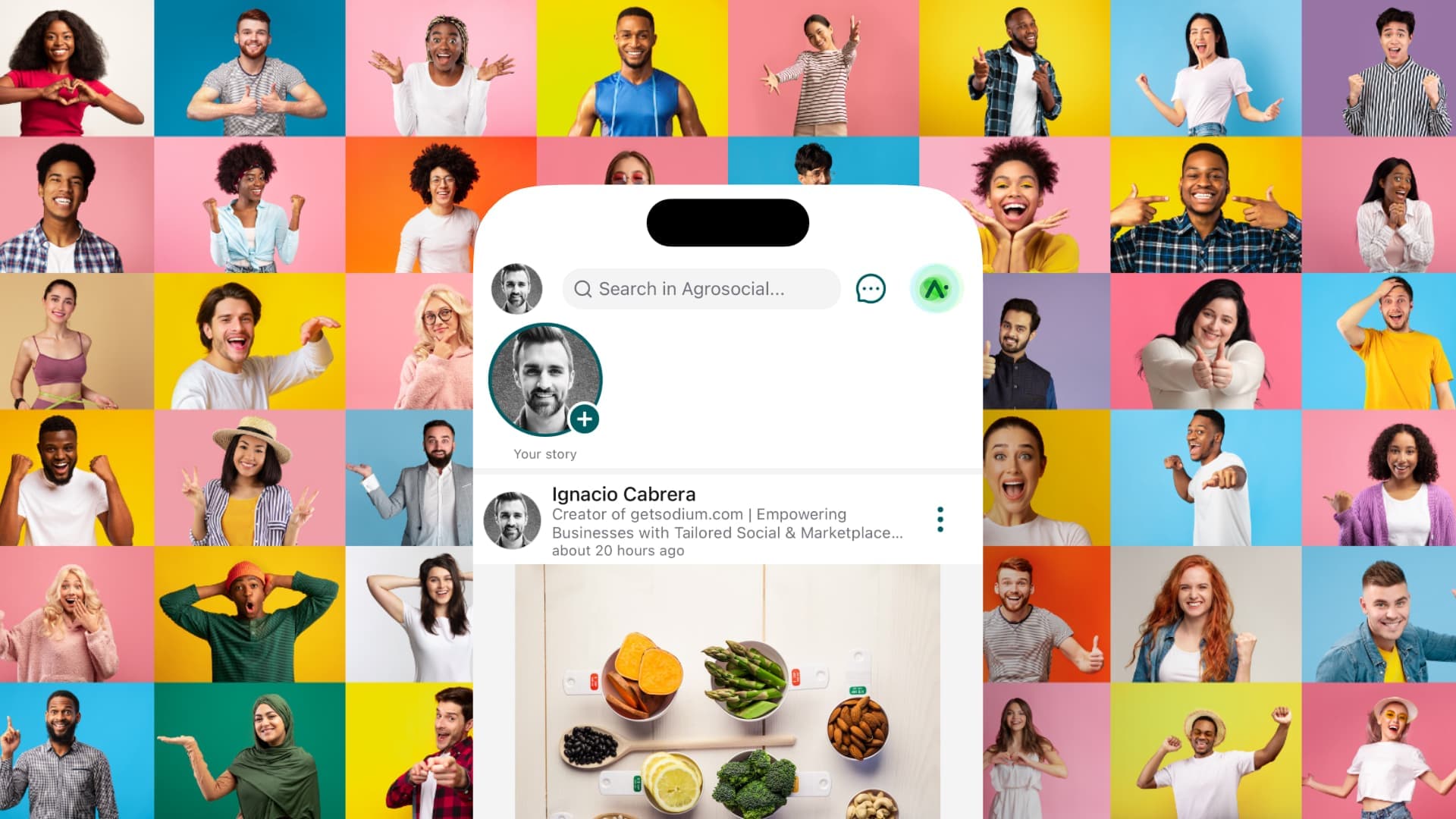 Interfaz de la plataforma de comercio social Sodium